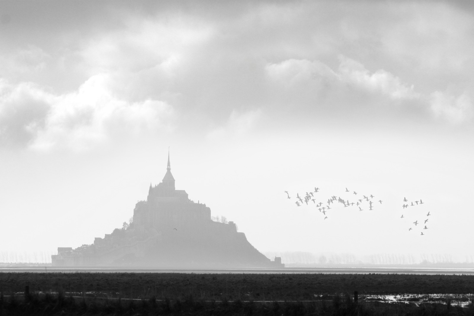 Quiétude Normande VerrierArt Frédéric Verrier