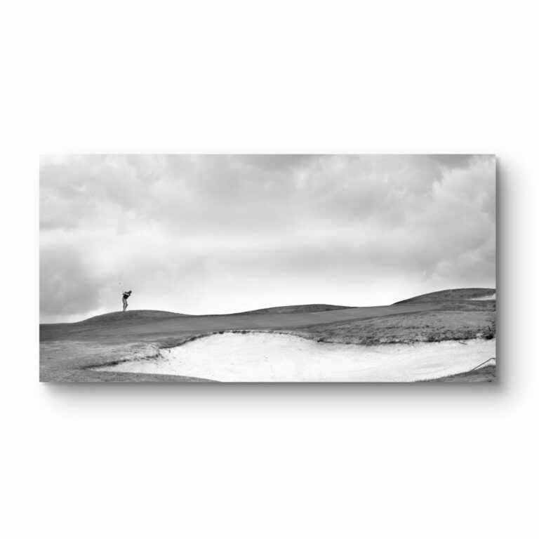 Golf VerrierArt Plexi 11