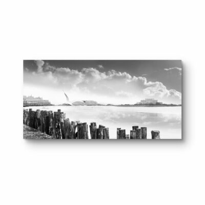 Ame de Saint Malo Frédéric Verrier Art 11